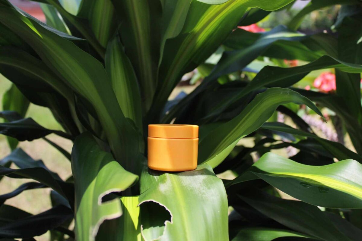 orange cremekrukke i plante