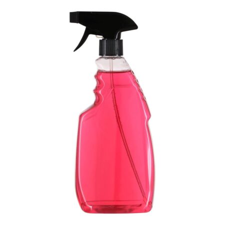 PET-Flasche transparent PW-401199