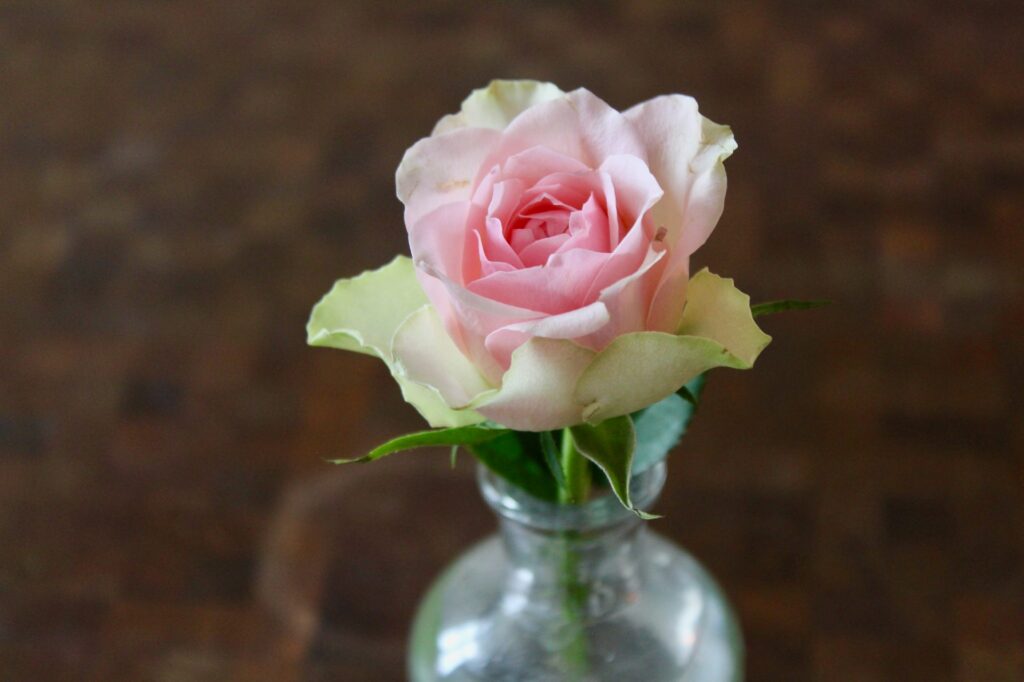 blomst i plastemballage