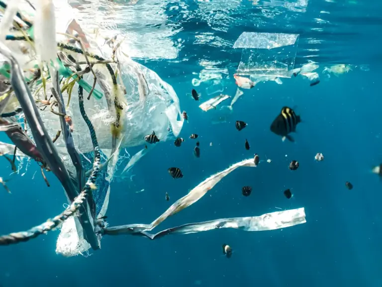 plastik emballage unsplash
