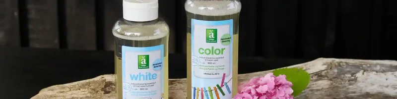 Two bottles and flower