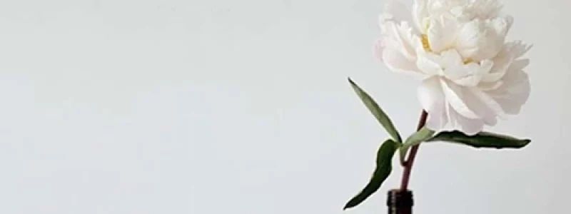 Blomst i flaske