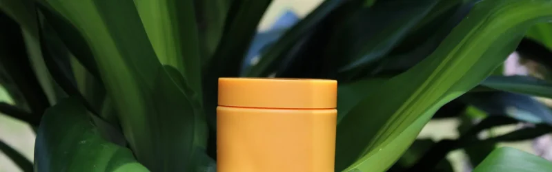 orange cremekrukke på plante