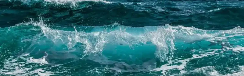 Waves