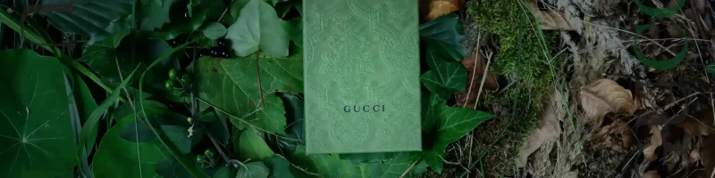 Grøn Gucci