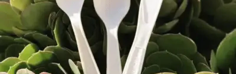 plastik service plante
